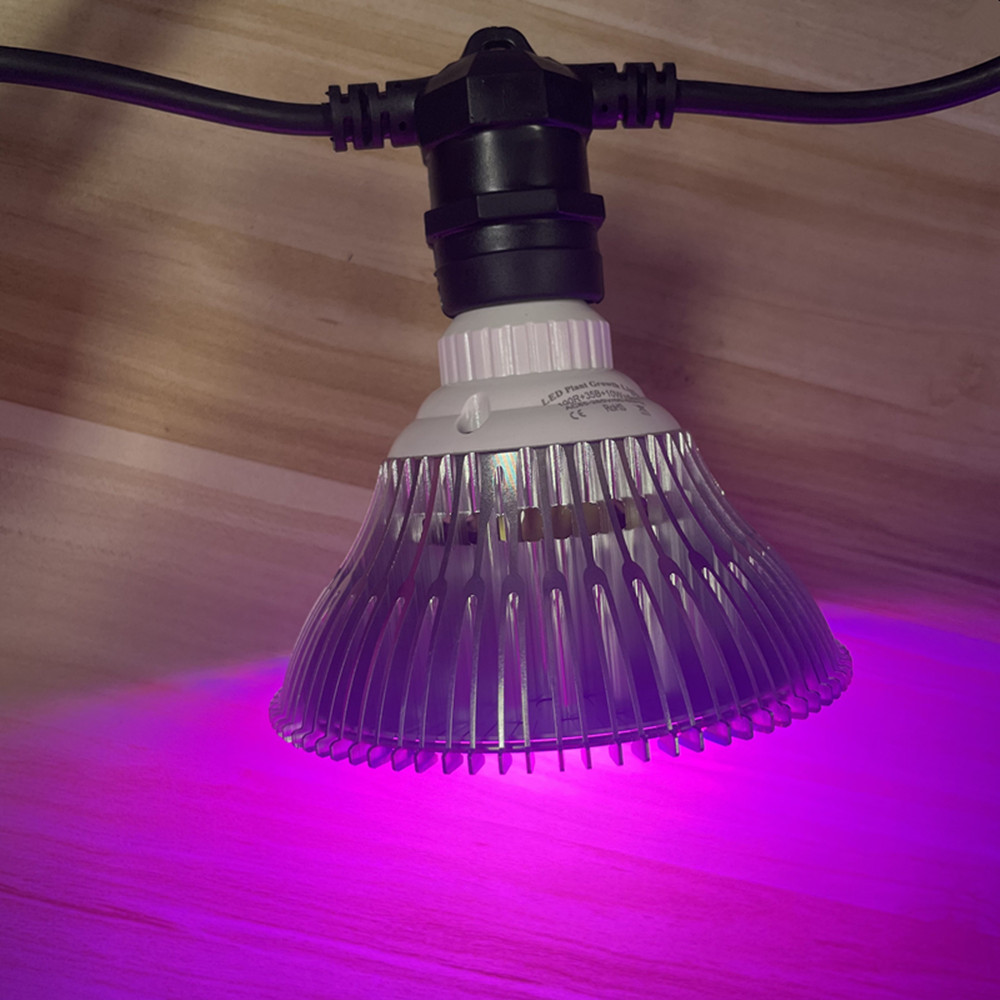 10M Kablo LED Dize Işık Zincir - Outdoor Lighting B&Q incelemesi ve fiyatı